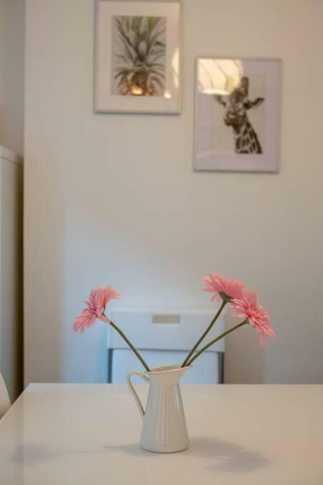 Galway City Cottage Εξωτερικό φωτογραφία